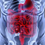 腰痛の原因は内臓かも？腰痛の3つのタイプと９つの内臓疾患と痛みの特徴とは！